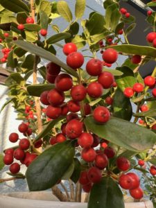 「１０６万円の壁」がなくなるとどうなる？