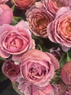 「朝の小1の壁」対策を国へ要望